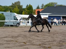 DSC_9213_web